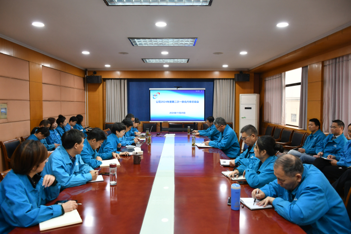 上传005-内审会议 上传005-内审会议